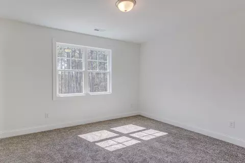 300 Coats Ridge Dr, Benson, NC 27504 photo 50