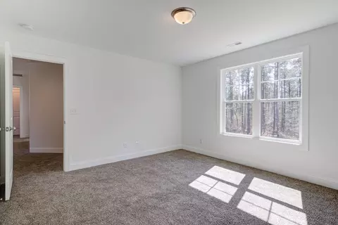 300 Coats Ridge Dr, Benson, NC 27504 photo 54