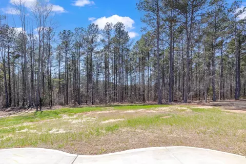 300 Coats Ridge Dr, Benson, NC 27504 photo 59