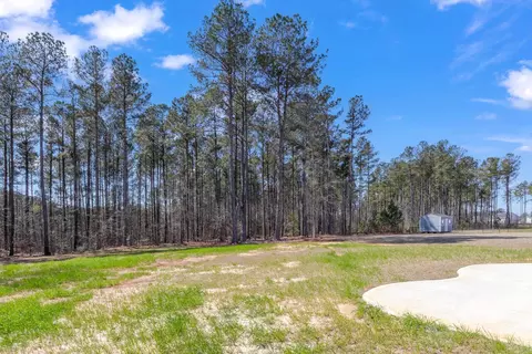 300 Coats Ridge Dr, Benson, NC 27504 photo 64