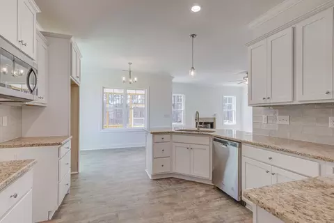 300 Coats Ridge Dr, Benson, NC 27504 photo 12