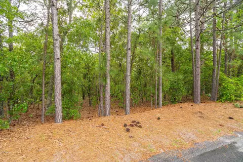 11 Aronimink Ln, Pinehurst, NC 28374 photo 14