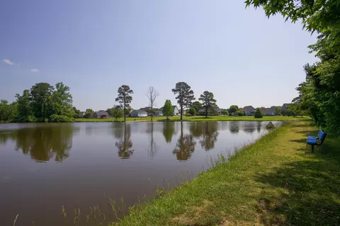 7509 Ladora Dr, Willow Spring, NC 27592 photo 93