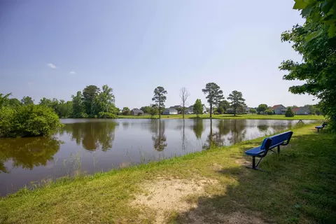 7509 Ladora Dr, Willow Spring, NC 27592 photo 90