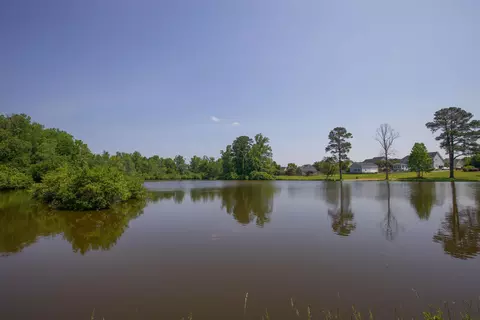 7509 Ladora Dr, Willow Spring, NC 27592 photo 94