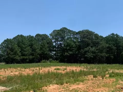 73 Bodacious Ln, Benson, NC 27504 photo 27