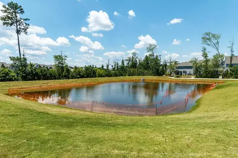 1020 Climbing Aster Dr, Durham, NC 27703 photo 32