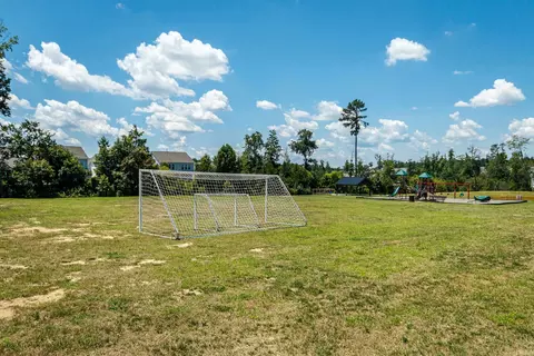 1020 Climbing Aster Dr, Durham, NC 27703 photo 23