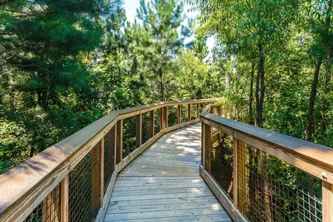 1020 Climbing Aster Dr, Durham, NC 27703 photo 21