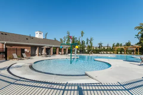 1020 Climbing Aster Dr, Durham, NC 27703 photo 9