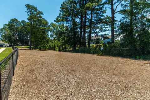 1020 Climbing Aster Dr, Durham, NC 27703 photo 26