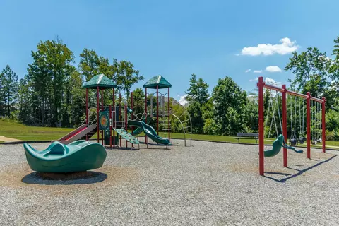 1020 Climbing Aster Dr, Durham, NC 27703 photo 19