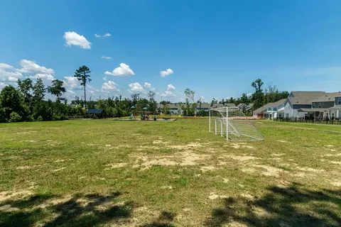 1020 Climbing Aster Dr, Durham, NC 27703 photo 24