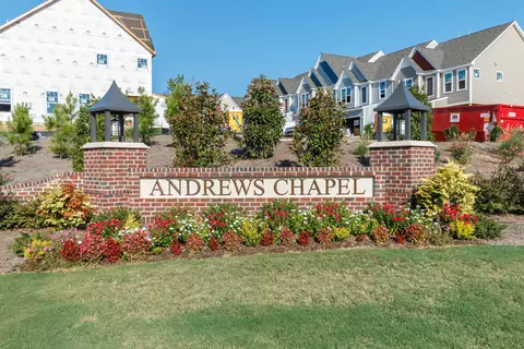 1020 Climbing Aster Dr, Durham, NC 27703 photo 6