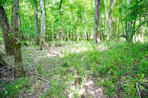 3535 Bunnlevel Erwin Rd, Erwin, NC 28339 photo 23