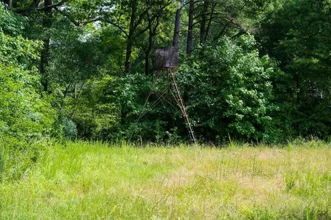 3535 Bunnlevel Erwin Rd, Erwin, NC 28339 photo 30
