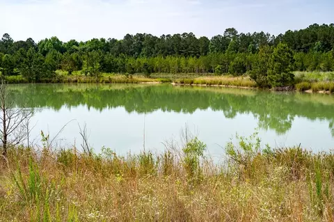 3535 Bunnlevel Erwin Rd, Erwin, NC 28339 photo 18