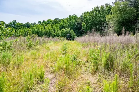 3535 Bunnlevel Erwin Rd, Erwin, NC 28339 photo 20