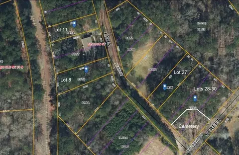 102 Lyon St, Stem, NC 27581 photo 3