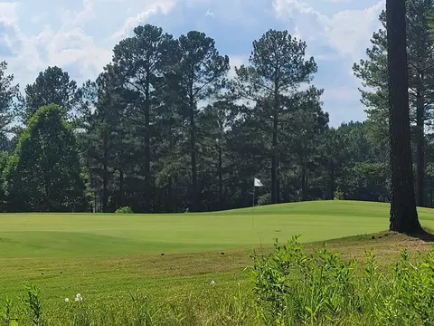 1248 Golfers Vw, Pittsboro, NC 27312