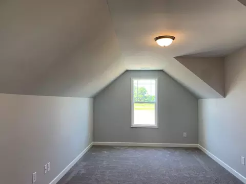 87 Bodacious Ln, Benson, NC 27504 photo 28