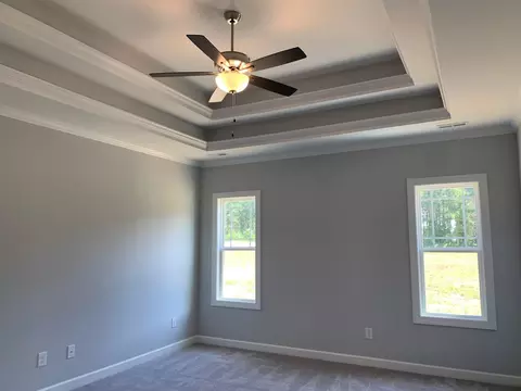 87 Bodacious Ln, Benson, NC 27504 photo 19