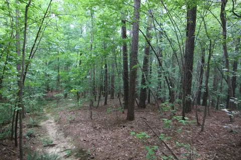 3093 Baptist Rd, Durham, NC 27703 photo 47