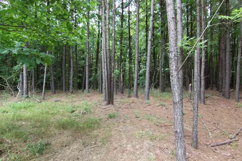 3093 Baptist Rd, Durham, NC 27703 photo 26