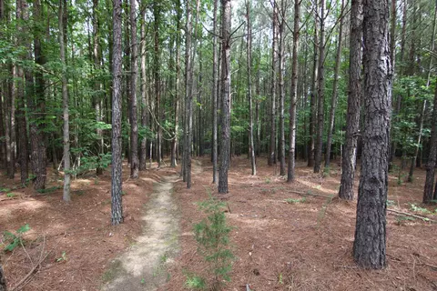 3093 Baptist Rd, Durham, NC 27703 photo 34