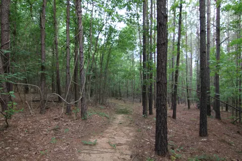 3093 Baptist Rd, Durham, NC 27703 photo 40