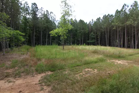 3093 Baptist Rd, Durham, NC 27703 photo 32