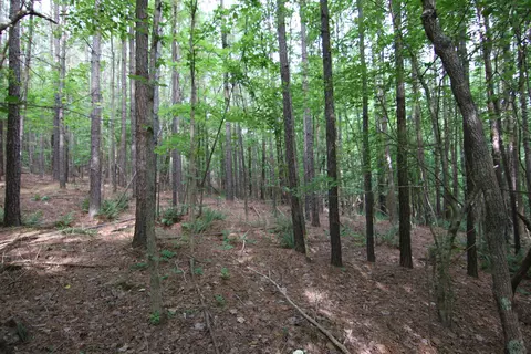 3093 Baptist Rd, Durham, NC 27703 photo 45