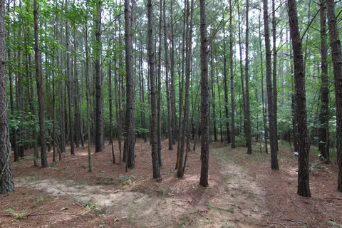 3093 Baptist Rd, Durham, NC 27703 photo 41