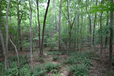 3093 Baptist Rd, Durham, NC 27703 photo 50