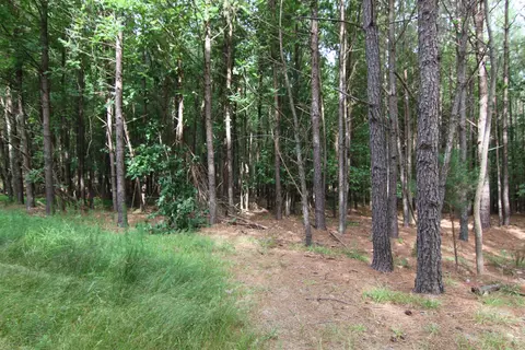 3093 Baptist Rd, Durham, NC 27703 photo 27