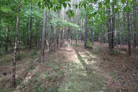 3093 Baptist Rd, Durham, NC 27703 photo 43