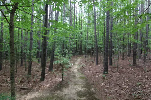 3093 Baptist Rd, Durham, NC 27703 photo 63