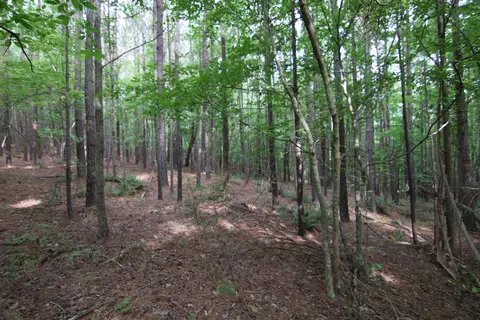 3093 Baptist Rd, Durham, NC 27703 photo 44