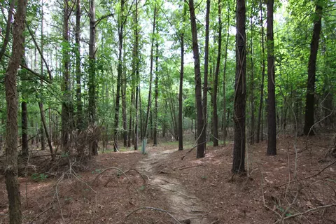 3093 Baptist Rd, Durham, NC 27703 photo 36