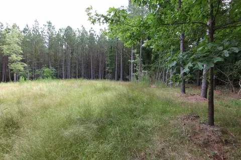 3093 Baptist Rd, Durham, NC 27703 photo 29