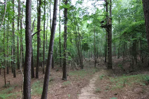 3093 Baptist Rd, Durham, NC 27703 photo 37