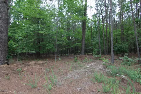 3093 Baptist Rd, Durham, NC 27703 photo 67