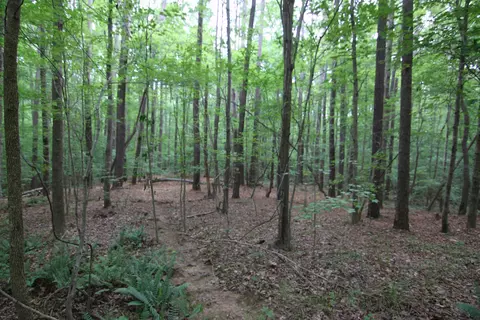 3093 Baptist Rd, Durham, NC 27703 photo 49