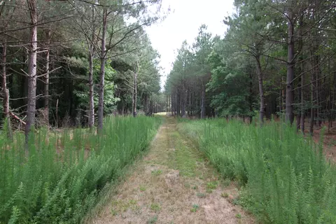 3093 Baptist Rd, Durham, NC 27703 photo 24