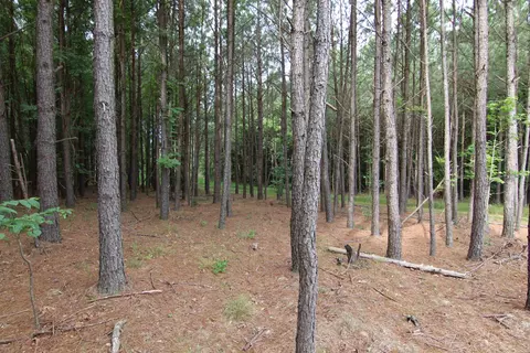 3093 Baptist Rd, Durham, NC 27703 photo 23