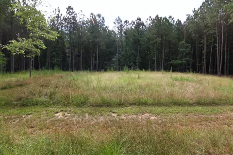 3093 Baptist Rd, Durham, NC 27703 photo 31