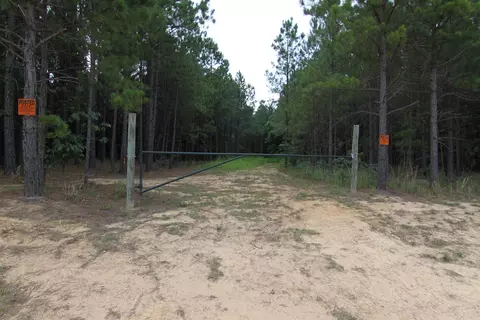 3093 Baptist Rd, Durham, NC 27703 photo 19