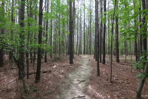 3093 Baptist Rd, Durham, NC 27703 photo 62
