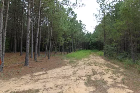 3093 Baptist Rd, Durham, NC 27703 photo 20