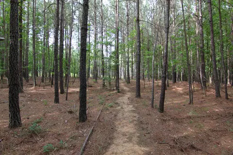 3093 Baptist Rd, Durham, NC 27703 photo 35